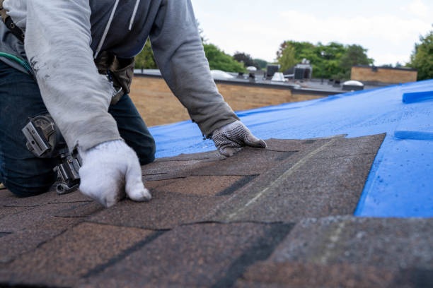 Best Shingle Roofing Installation  in Burney, CA
